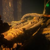 Engine room