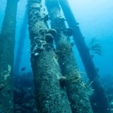 Salt Pier