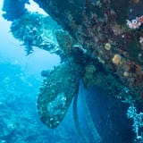Hilma Hooker's propeller