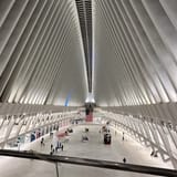 Oculus