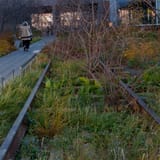 High Line
