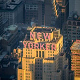 New Yorker