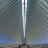 Oculus