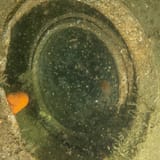 Porthole