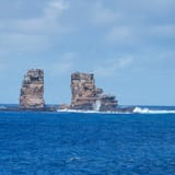 Darwin's pillars
