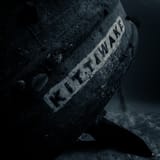 Kittiwake