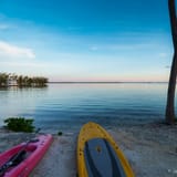 Kayaks