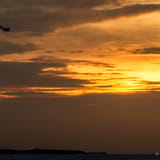 Seaplane sunset