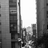 Morning crossing