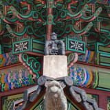 Roof guardian