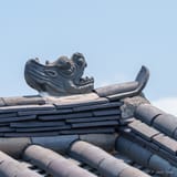 Dragon on the roof