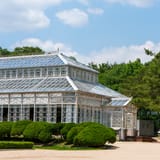The glasshouse