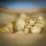 Peanuts