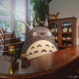 Totoro at the counter