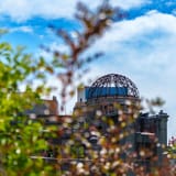 The dome through the trees