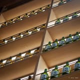 Sake on the shelf