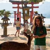 Deer and the great torii