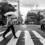 Rainy crossing