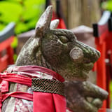 Kitsune
