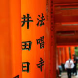 Senbon torii